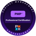 Project Management Professional (PMP)